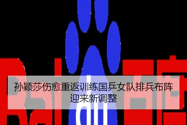 孙颖莎伤愈重返训练国乒女队排兵布阵迎来新调整